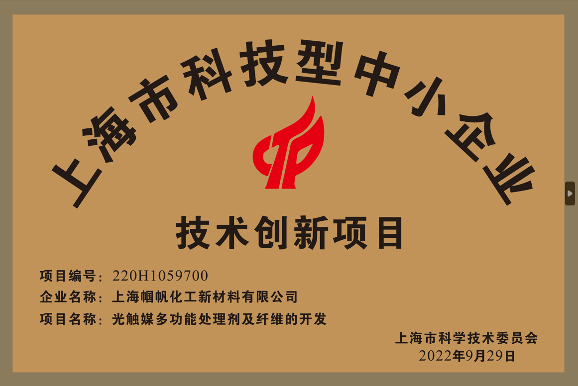 上海幗帆-上海市科技型中小企業技術創新項目